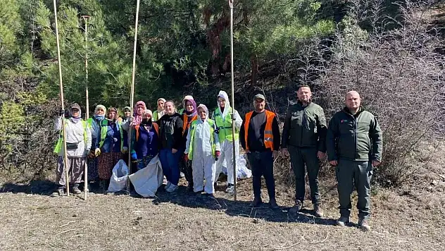 Sinop Ormanlarında Zararlılara Karşı Biyolojik Savaş