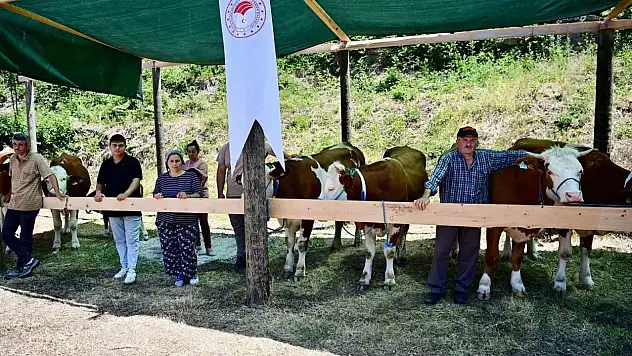 265 Köylüye 40 Milyon TL Ferdi Kredi Desteği
