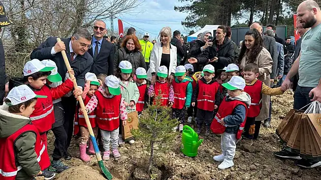Sinop'ta 300 Fidan Toprakla Buluştu