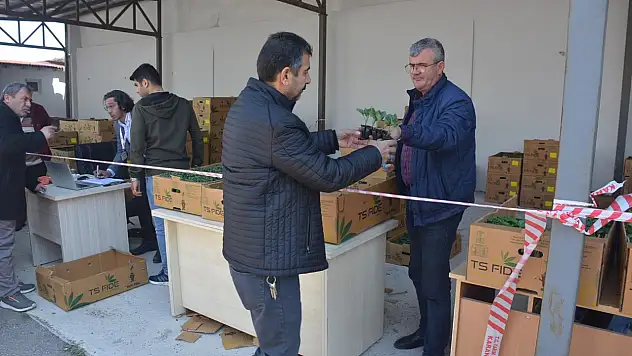 Sinop'ta 80 bin sebze fidesi dağıtıldı