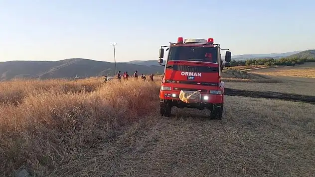 Sinop'ta anız yangını korkuttu