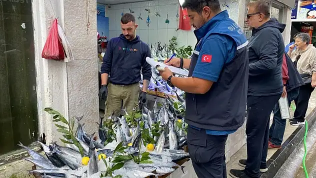 Sinop'ta balık satış yerleri denetlendi