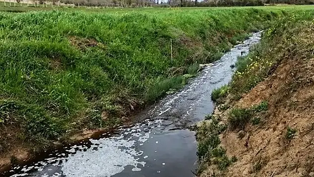Sinop'ta Çevreyi Kirleten Tesise 1.6 Milyon TL Ceza