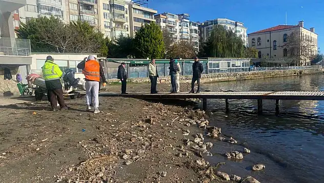 Sinop'ta Deniz Yüzeyindeki Kirlilik Vatandaşları Endişelendirdi