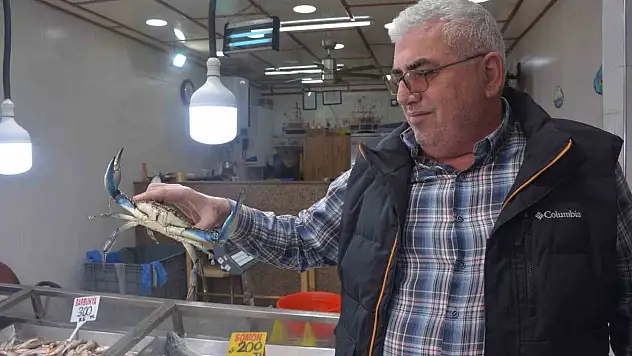 Dev Mavi Yengeç Görenleri Şaşırttı