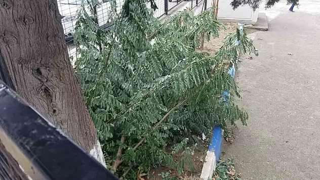 Sinop'ta Fırtına Hayatı Olumsuz Etkiledi