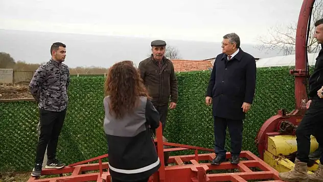 Sinop'ta Hayvancılıkta Kalite Artıyor