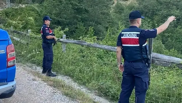 Sinop'ta jandarma ekipleri orman yangınlarına karşı teyakkuzda