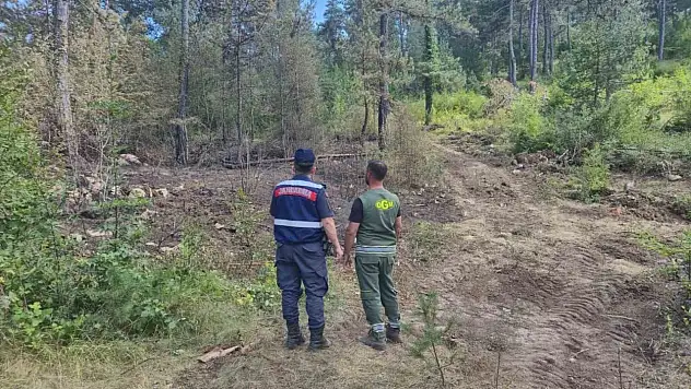 Sinop'ta Jandarma Orman Yangınlarına Karşı Teyakkuzda