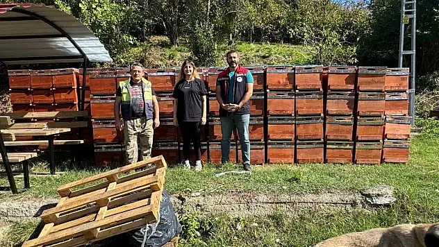 Sinop'ta kadın arıcıya 774 bin TL hibe desteği