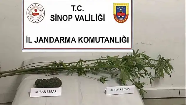 Kenevir Ve Kubar Esrar Ele Geçirildi