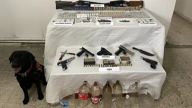 Sinop'ta kökünü kurutma operasyonu