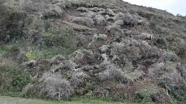 Sinop'ta Korkutan Heyelan