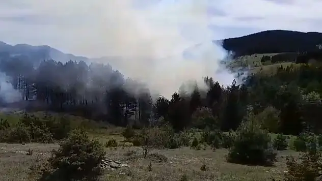 Sinop'ta Korkutan Orman Yangını