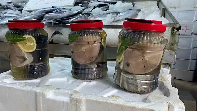 Sinop'ta lakerda hazırlığı: Balıkçılar 'kestane karası'nı beklemeden tuzluyor