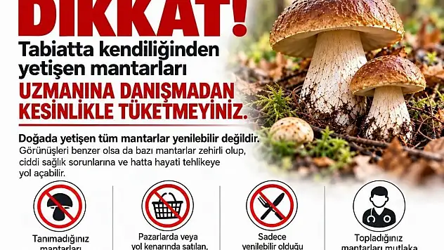 Sinop'ta mantar toplayıcılarına uyarı