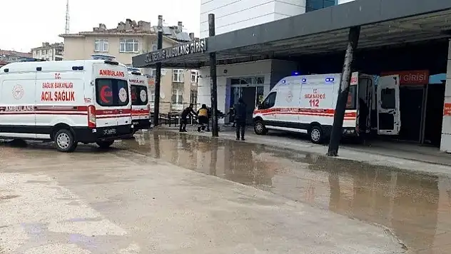Sinop'ta Mantar Zehirlenmesi