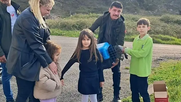 Sinop'ta Minik Öğrenciden Yaralı Güvercine Şefkat Eli