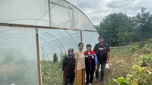 Sinop'ta Modern Seralar Faaliyete Geçti