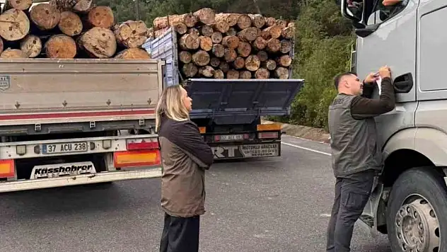 Sinop'ta orman ekipleri yasa dışı faaliyetlere karşı teyakkuzda