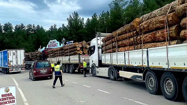 Sinop'ta orman emvali nakilleri denetimi