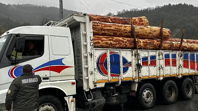 Sinop'ta Orman Ürünlerine 183 Noktada Denetim