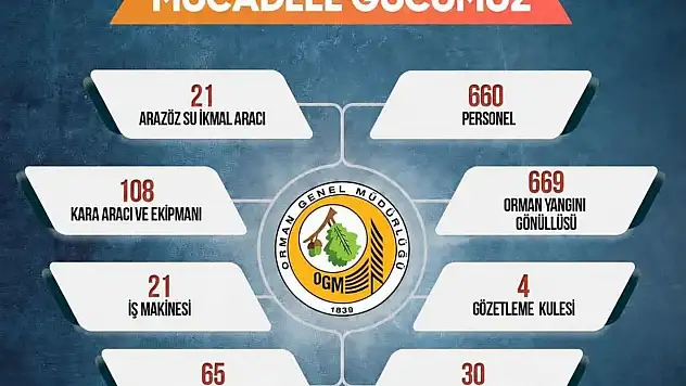 Sinop'ta orman yangınlarına karşı seferberlik