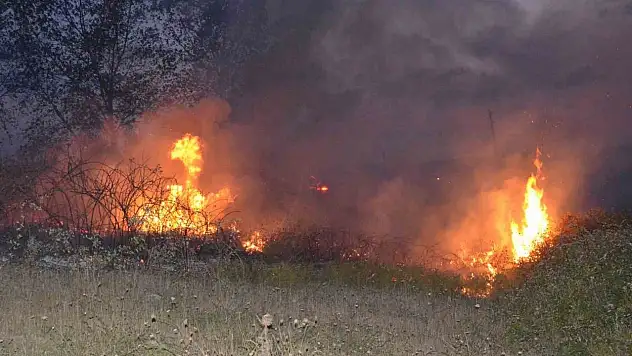 Sinop'ta Örtü Yangını