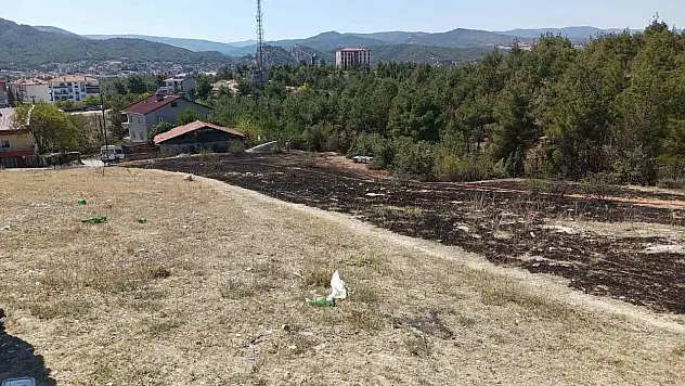 Sinop'ta Ot Yangını!