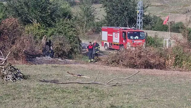 Sinop'ta Otların Yakılması Paniğe Neden Oldu