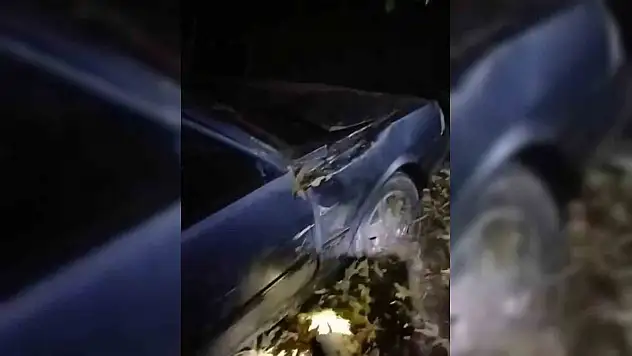 Sinop'ta Otomobil Şarampole Yuvarlandı