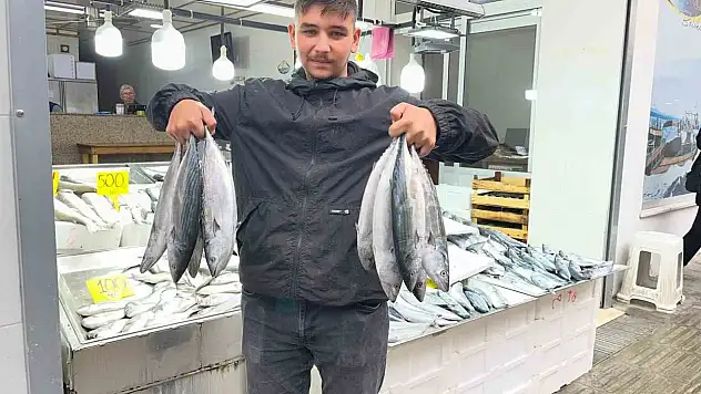 Sinop'ta palamut 50 lira