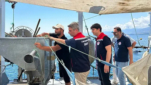 Sinop'ta su ürünleri üretimine yakın takip