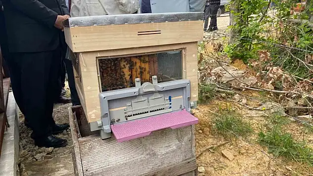 Sinop'ta Türkiye'nin 913'üncü bal ormanı hizmete açıldı