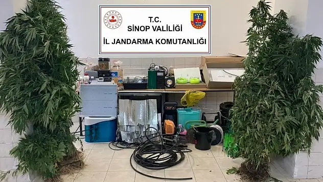 Sinop'ta uyuşturucu operasyonu