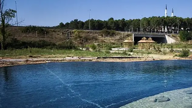 Sinop'ta yeşil kampüs çalışması