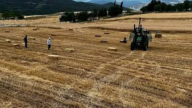 Sinop'ta yılın ilk buğdayları hasat edildi
