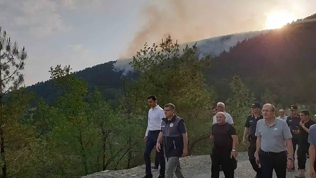 Sinop'taki Orman Yangını Kontrol Altına Alındı