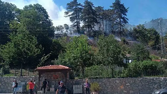 Sinop'taki orman yangınıyla ilgili 1 kişi gözaltında