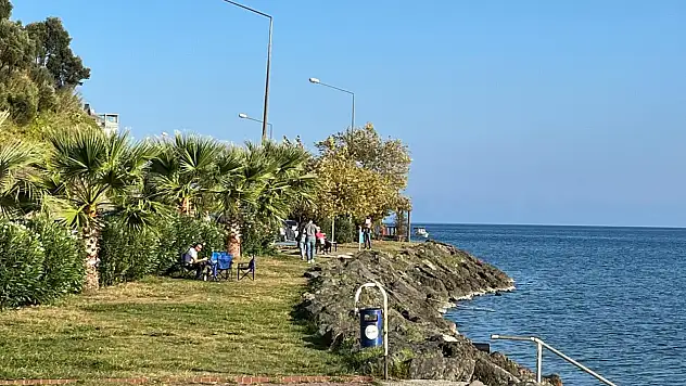 Sinop'un ağustos ayı ihracatı  3 milyon 217 bin dolar olarak gerçekleşti