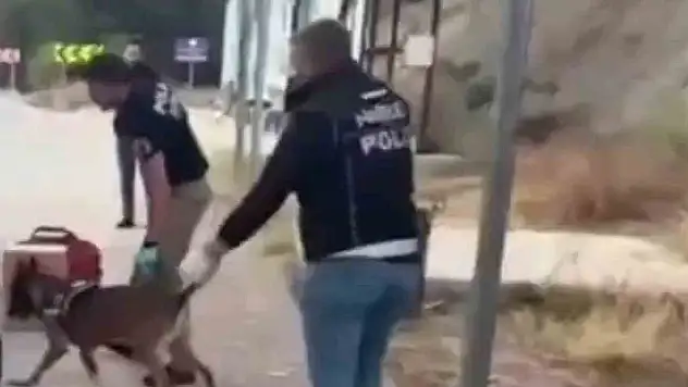 Sinop uyuşturucu operasyonu: 3 tutuklama