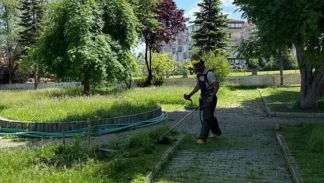 Sivrisinekle Mücadele İçin Sahadalar