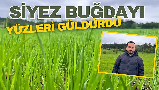 Siyez Buğdayı Yüzleri Güldürdü
