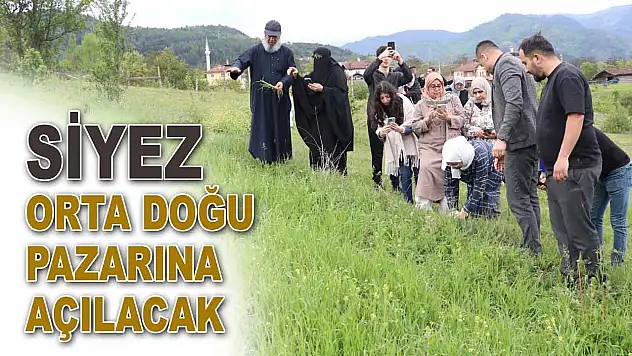 Siyez Orta Doğu Pazarına Açılacak