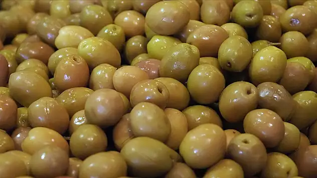 Sofralık Zeytin İhracatında Rekor