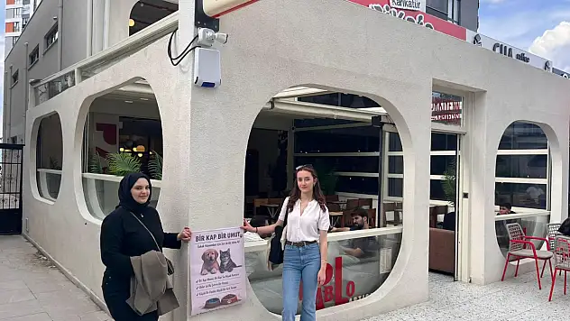 Sokak Hayvanlarına Yönelik Proje