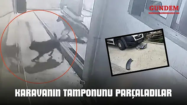 Sokak Köpekleri Karavanın Tamponunu Parçaladı