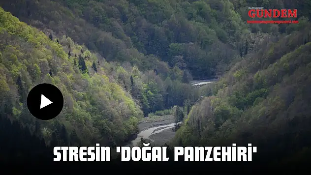 Stresin 'Doğal Panzehiri'