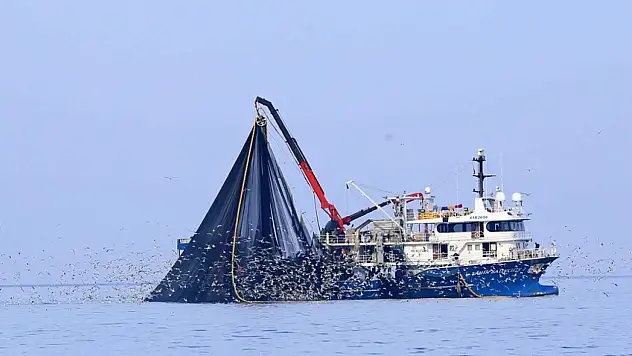 Su Ürünleri Üretimi Yüzde 11,1 Arttı