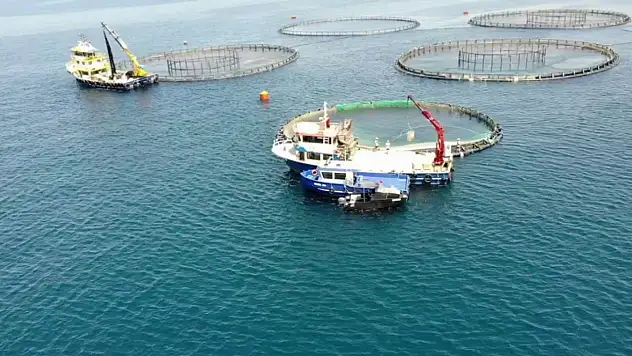 Su ürünleri üretimi yüzde 6,2 arttı